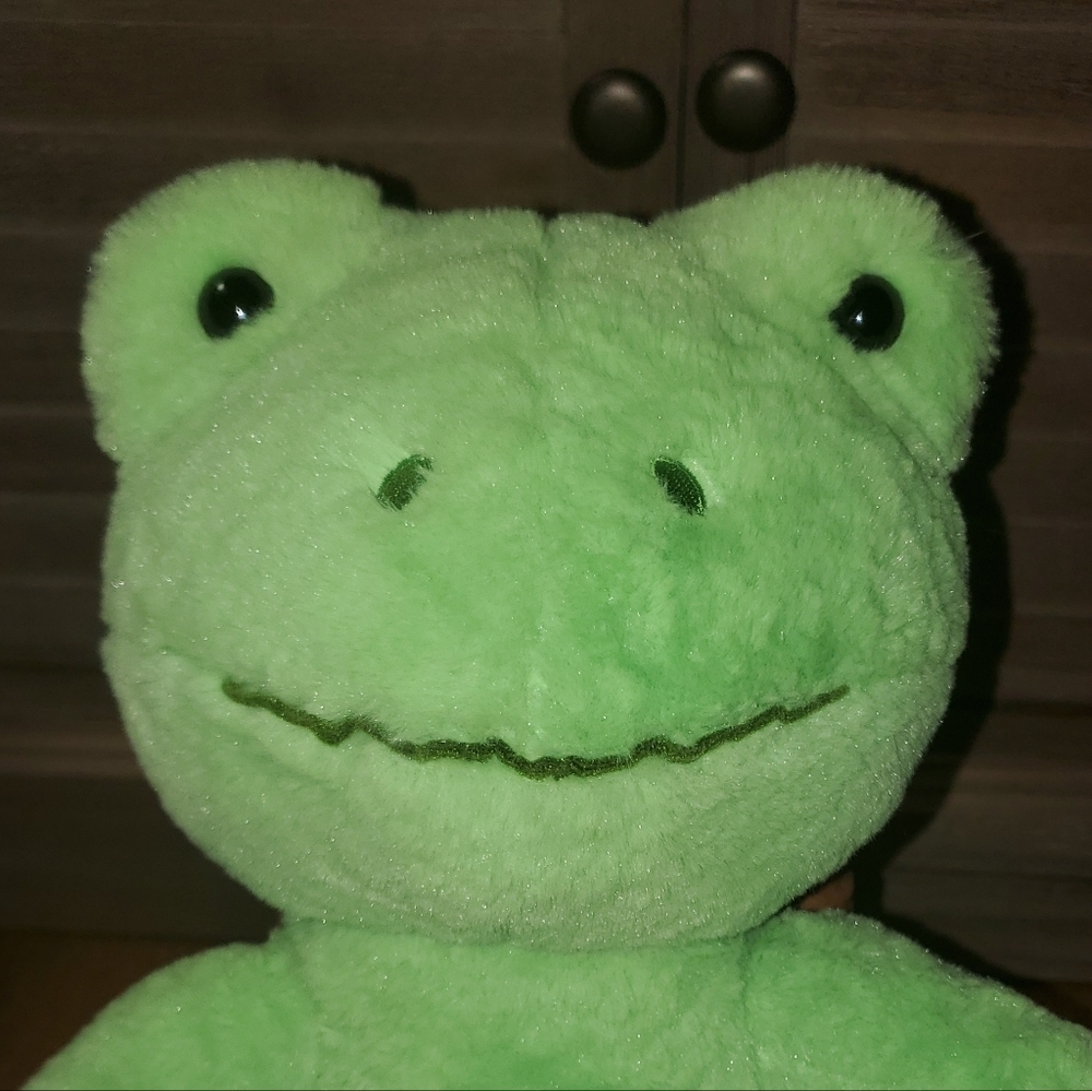 Build-A-Bear Green Frog Stuffed Animal - Picture 11 of 11